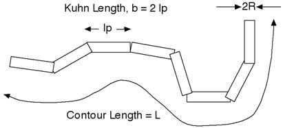 ../../_images/flexible_cylinder_geometry.jpg